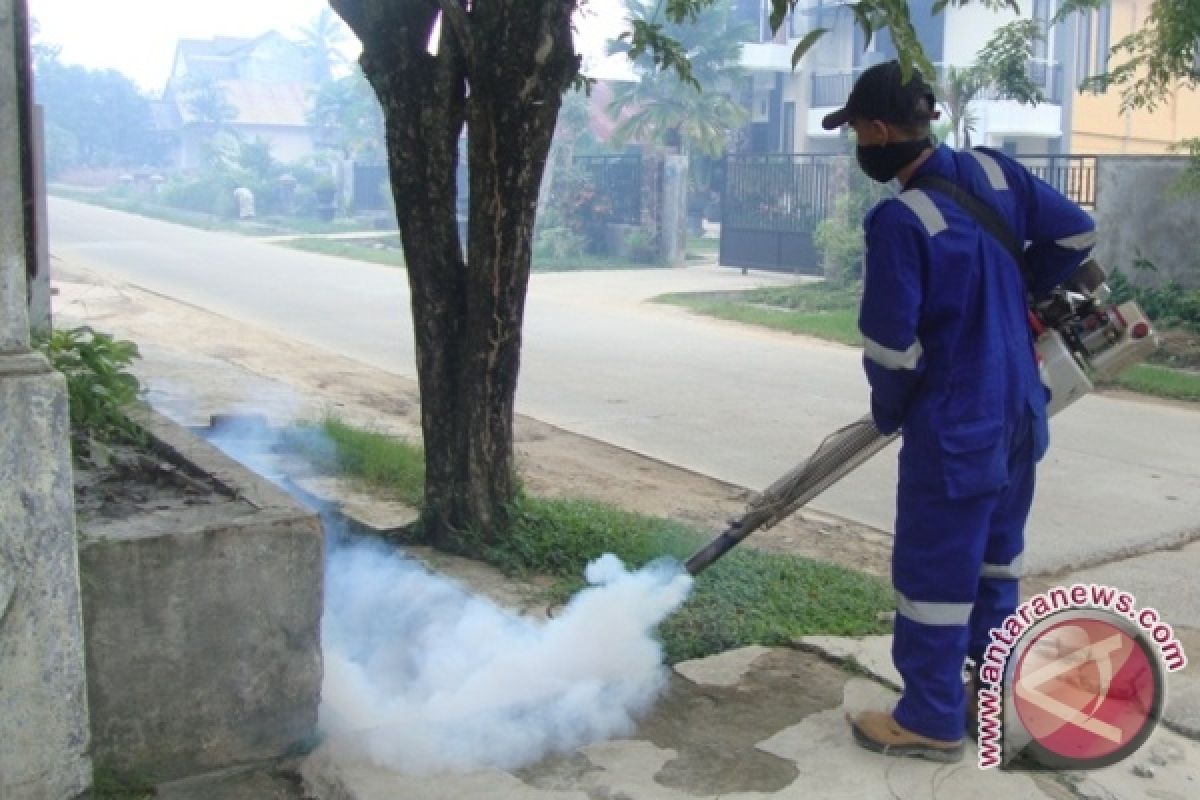 Dinas Kesehatan Penajam Temukan 130 Kasus DBD