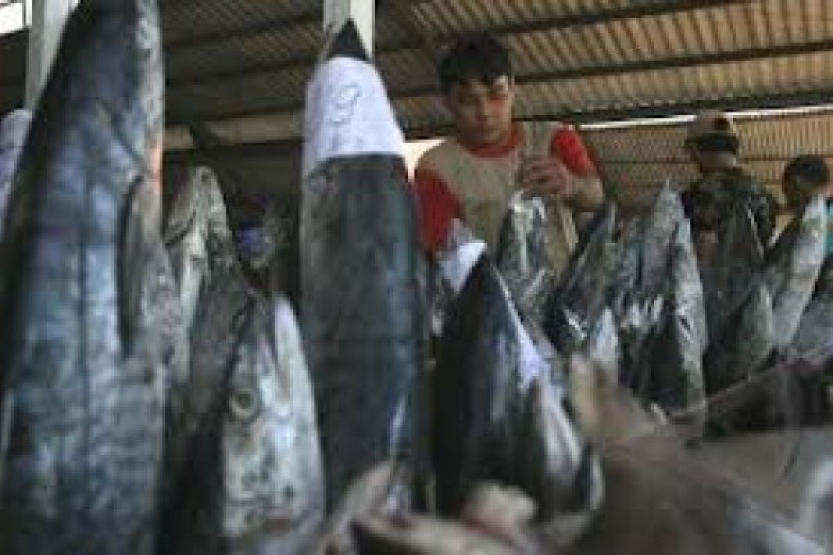 Harga Ikan di Pasaman Barat Naik Jelang Ramadhan