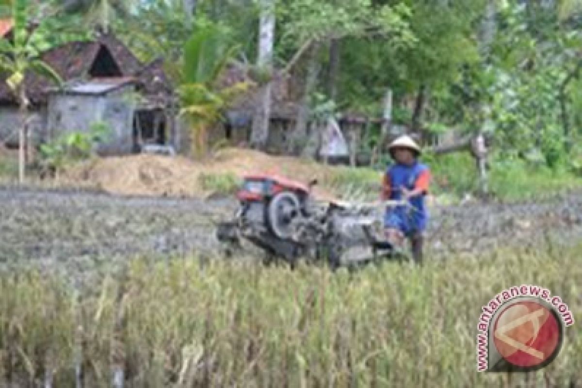 Kulon Progo bagikan traktor percepat pengolahan tanah