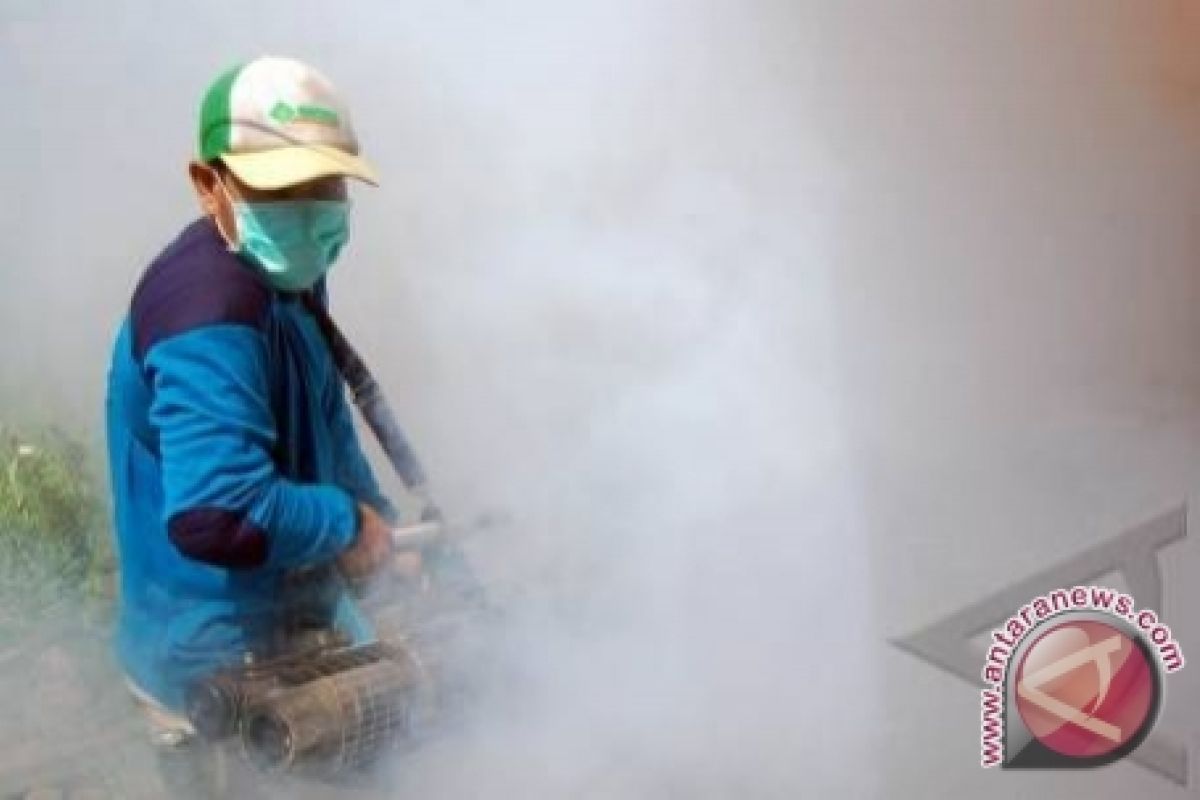 DKPPKB Belitung Timur: Fogging bukan solusi tekan kasus DBD