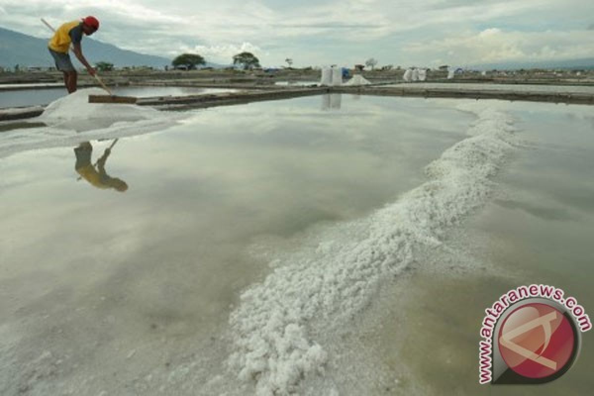 Potensi garam Bali belum digarap maksimal