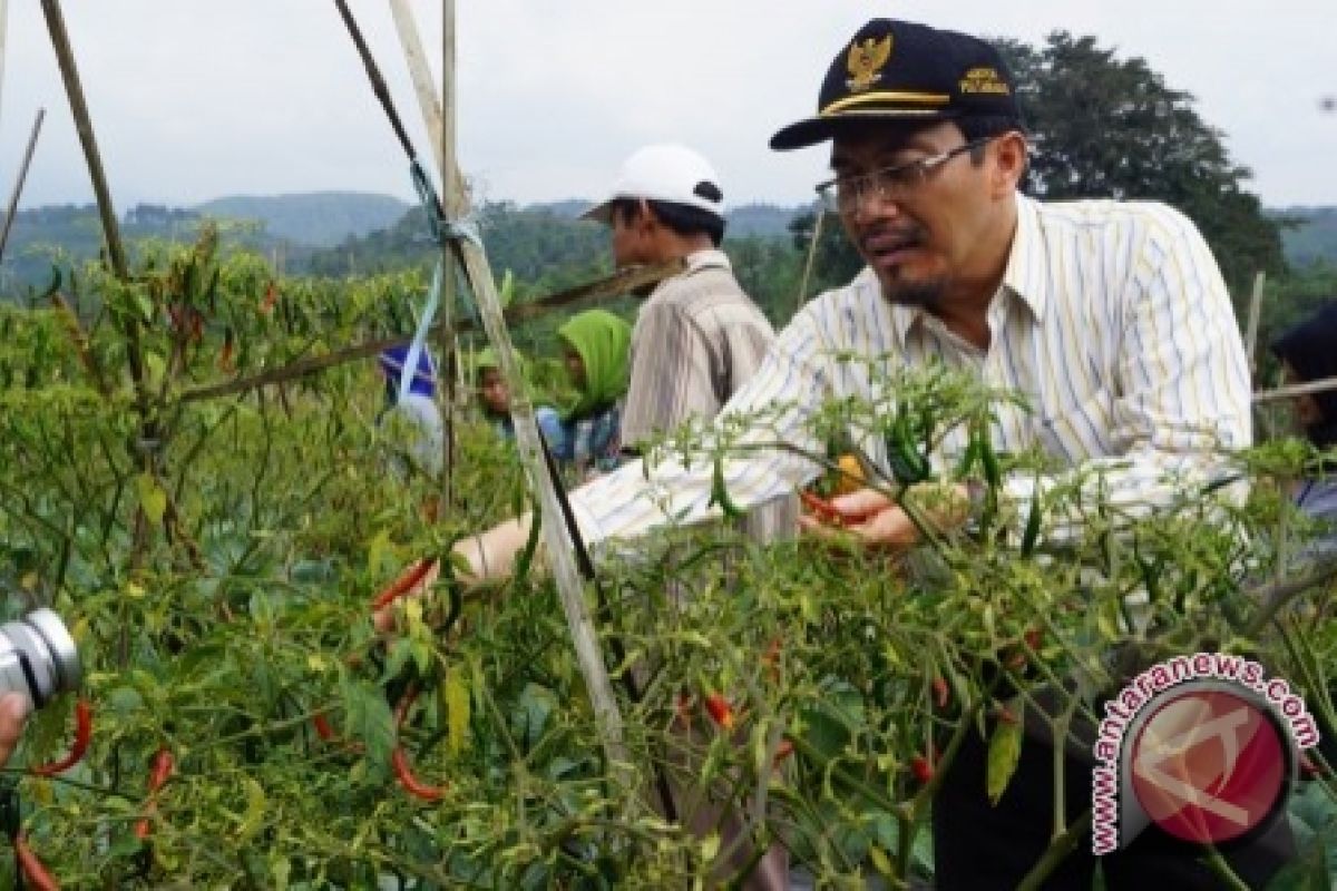 Mentan harapkan PF2N dorong masyarakat produksi hortikultura