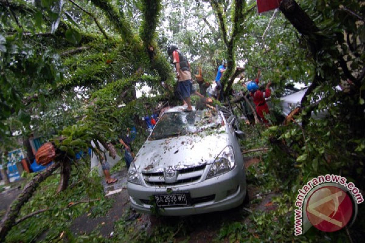 Bogor dilanda longsor dan pohon tumbang