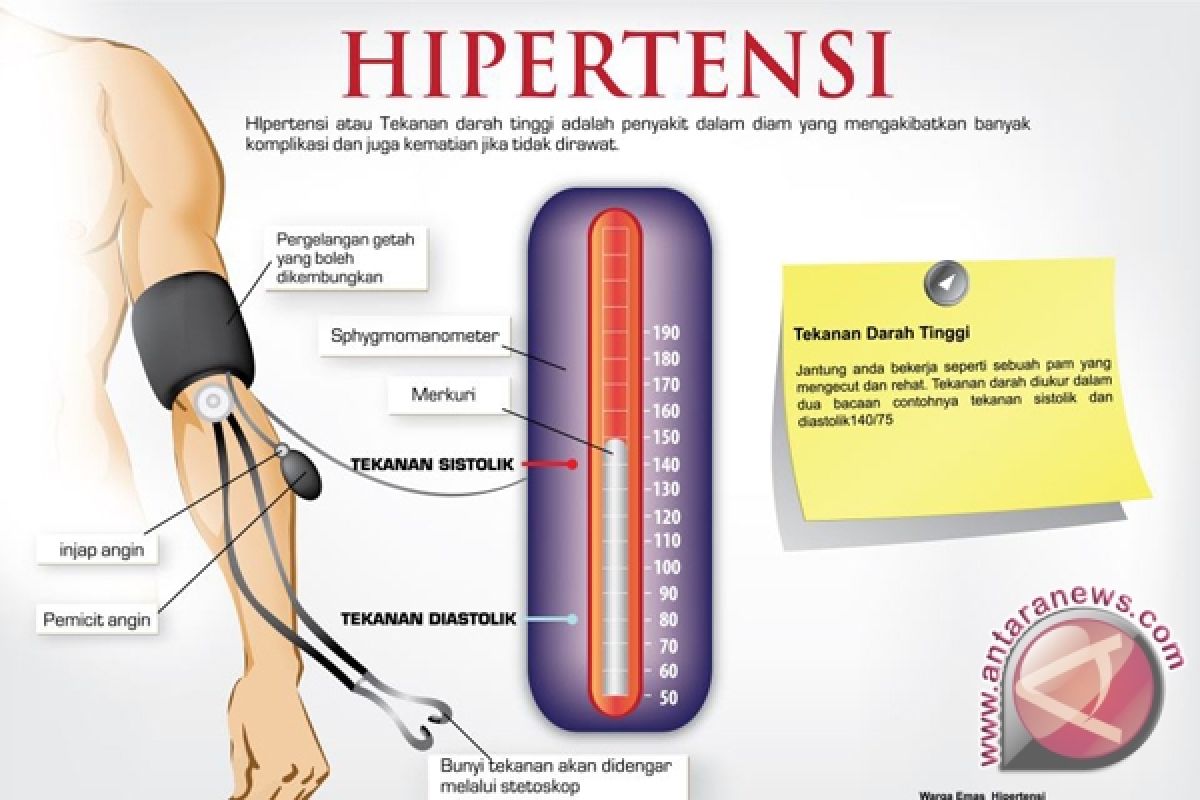 Penyakit Darah Tinggi Nomor Satu Di Banjarmasin 