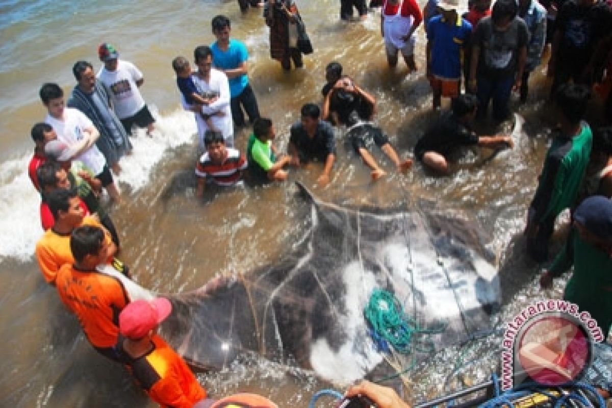 Nelayan Baron tidak melaut karena gelombang tinggi