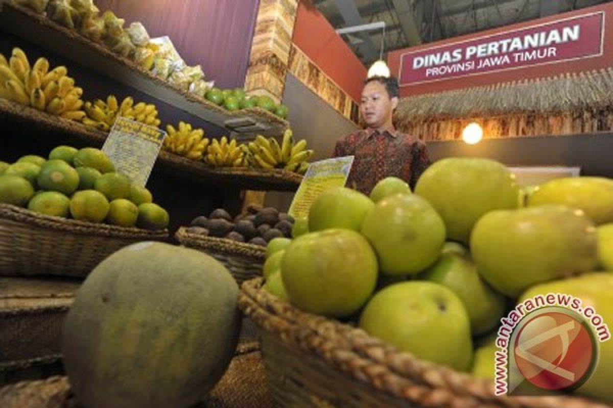 Usaha agribisnis mampu tingkatkan pendapatan petani