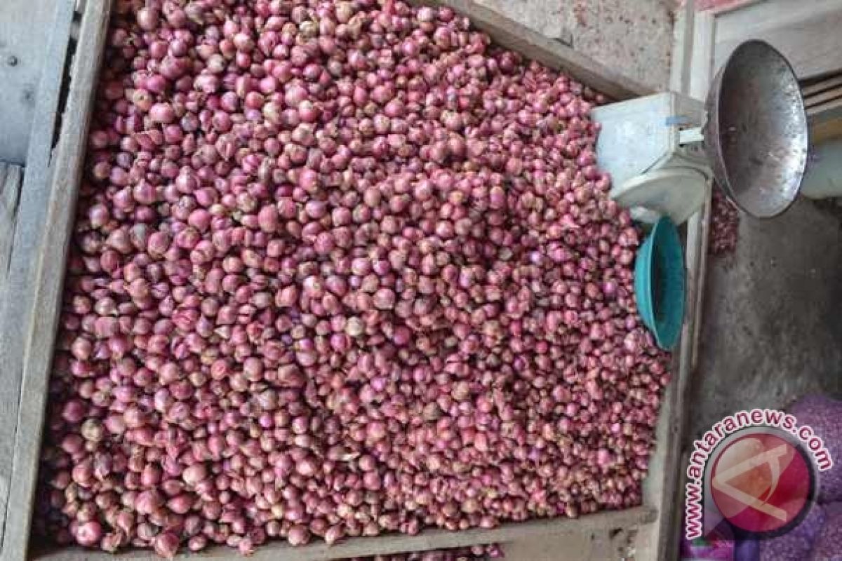 Harga Bawang Merah Naik Akibat Kurangnya Suplai