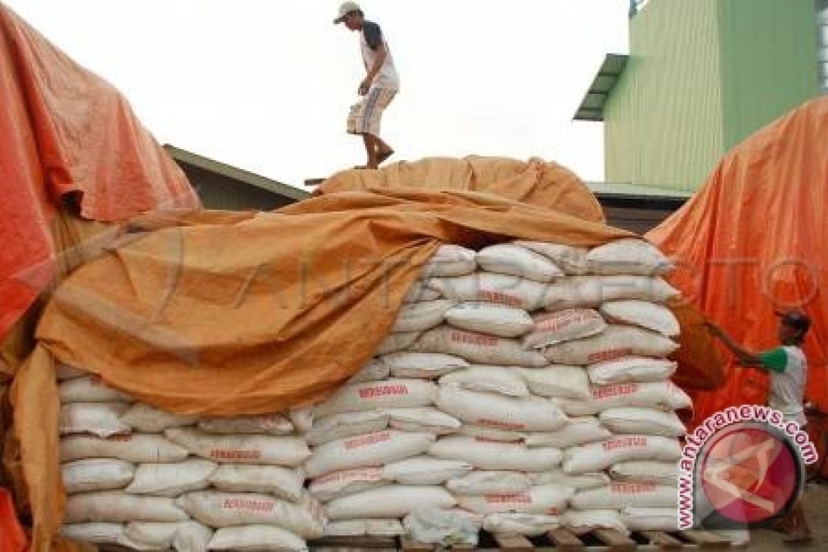 Petani Muntok Khawatir Peredaran Pupuk Palsu