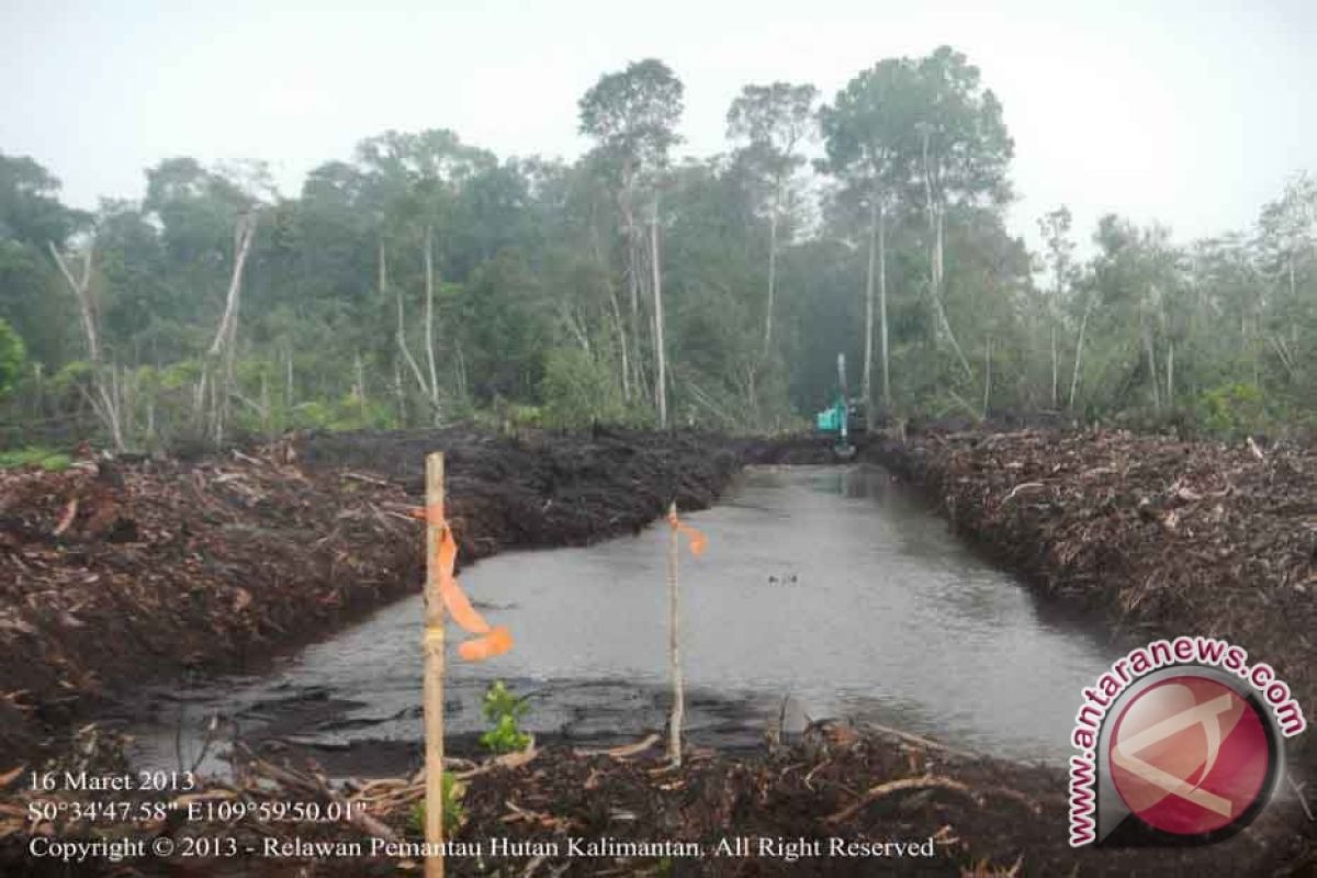 Ternyata gambut dapat mempercantik kulit tubuh