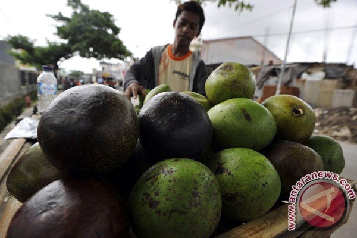 Tujuh makanan untuk hubungan suami istri lebih baik