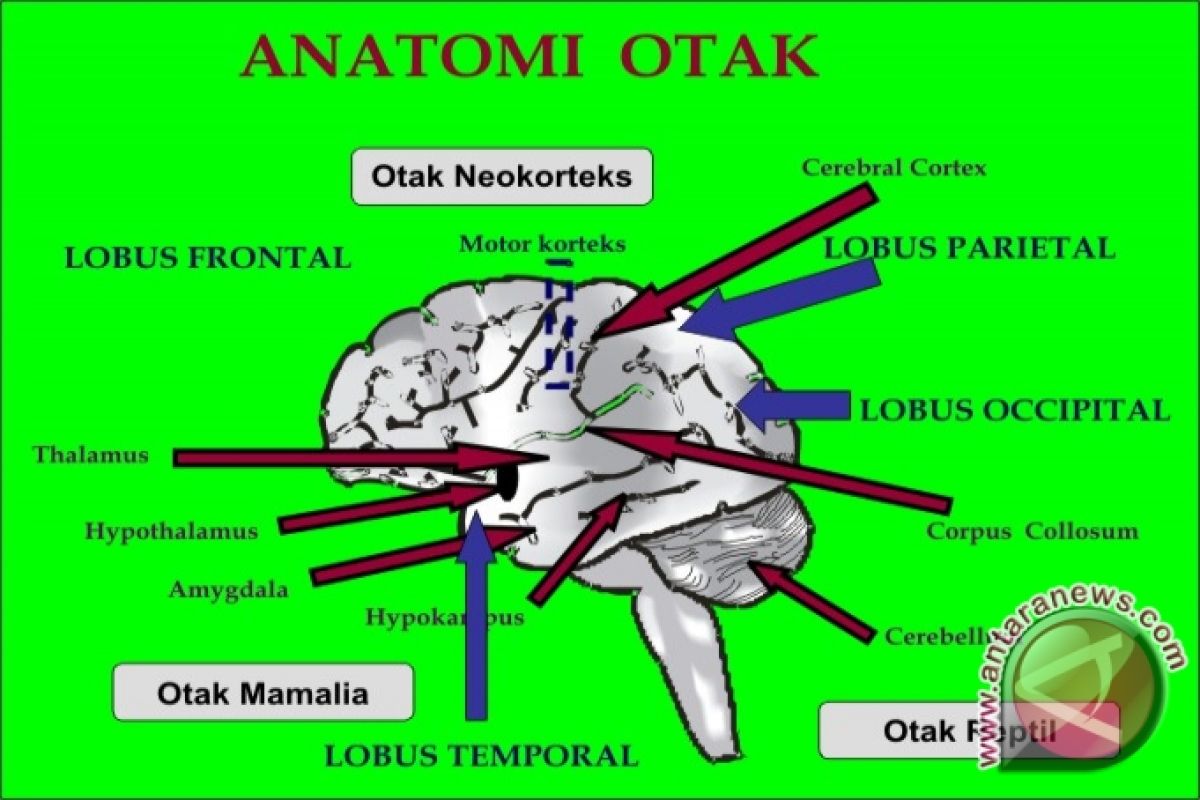 Jangan Sering Berfikir "Saya Stress"