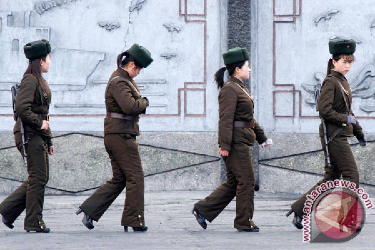 Indonesia diharapkan sampaikan pesan terang ke Korea Utara