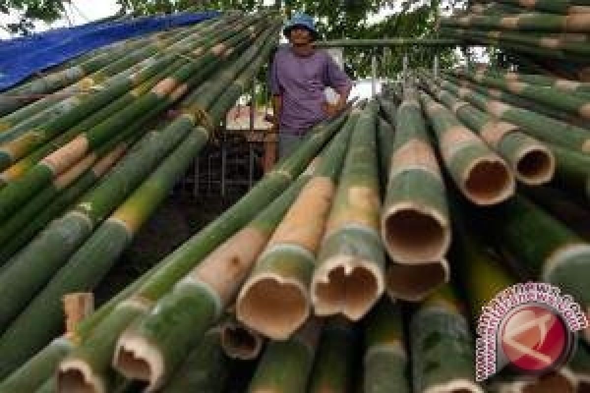  Pedagang Bambu Sigi Serbu Kota Palu 