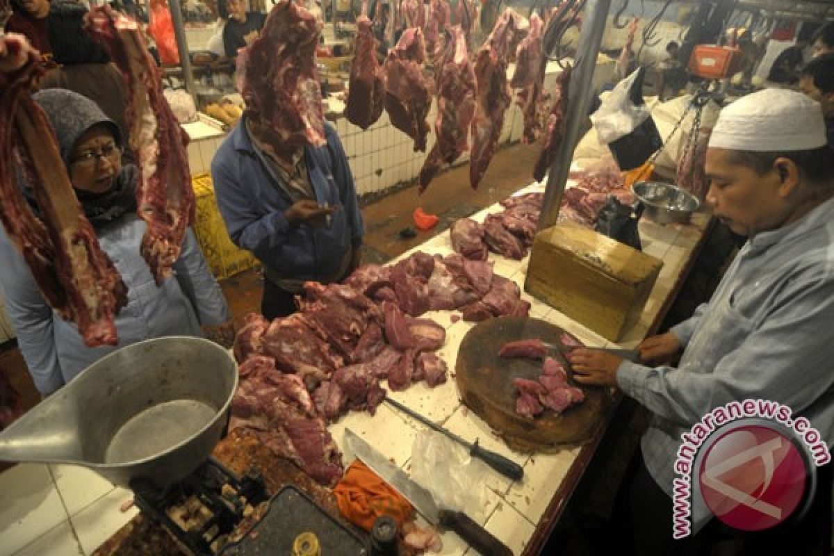 Harga daging sapi bertahan Rp95.000/kg