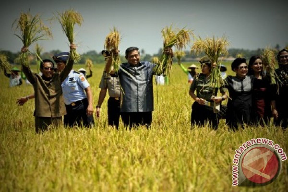 Presiden berdialog dengan petani Cilamaya