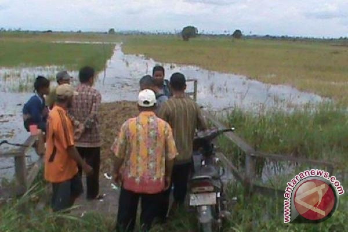 Petani Babulu Minta Pemkab Segera Atasi Banjir