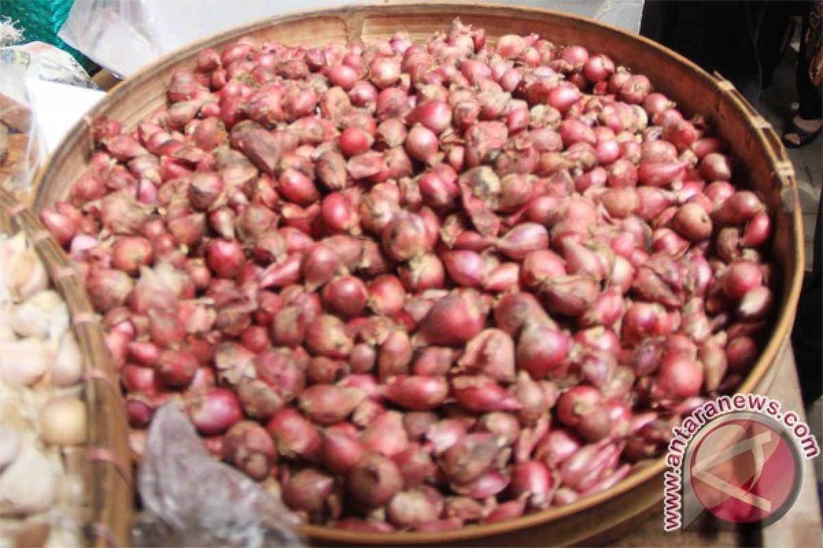 Harga bawang merah masih menurun