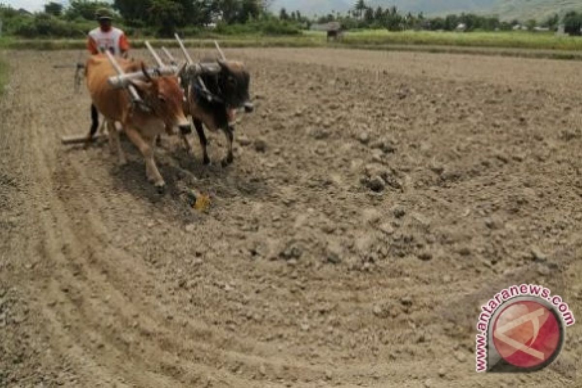 Pemkab Dorong Masyarakat Pulihkan Lahan Kritis