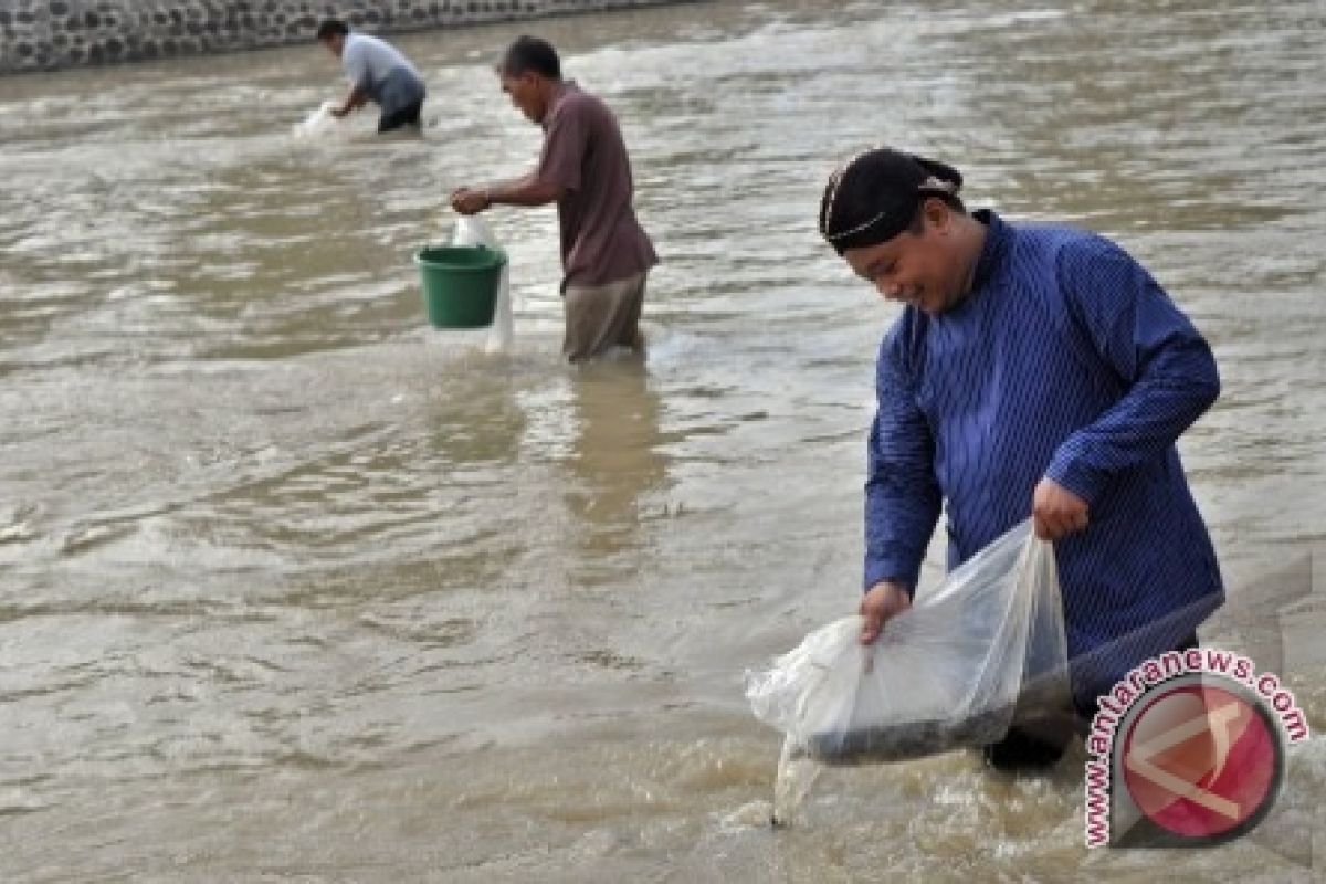 DKP Babel Salurkan 1.000 Juta Benih Ikan