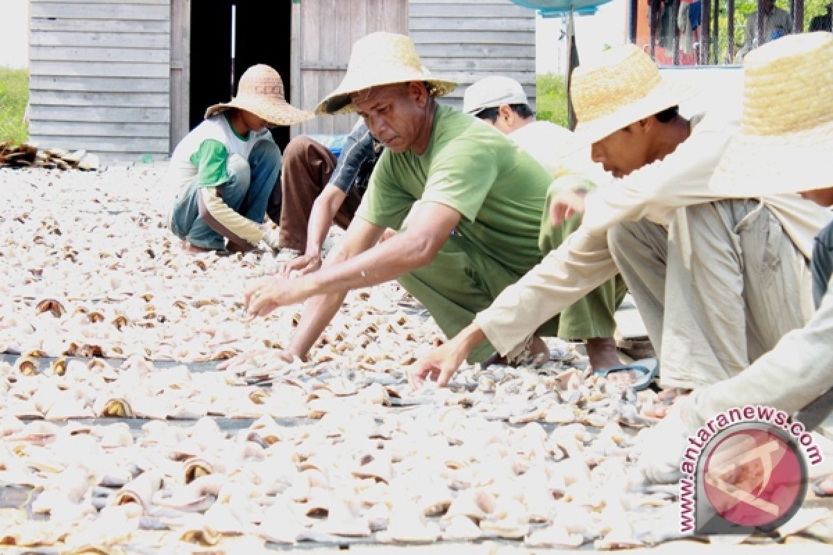 Ikan Kering Sejahterakan Warga Kalsel