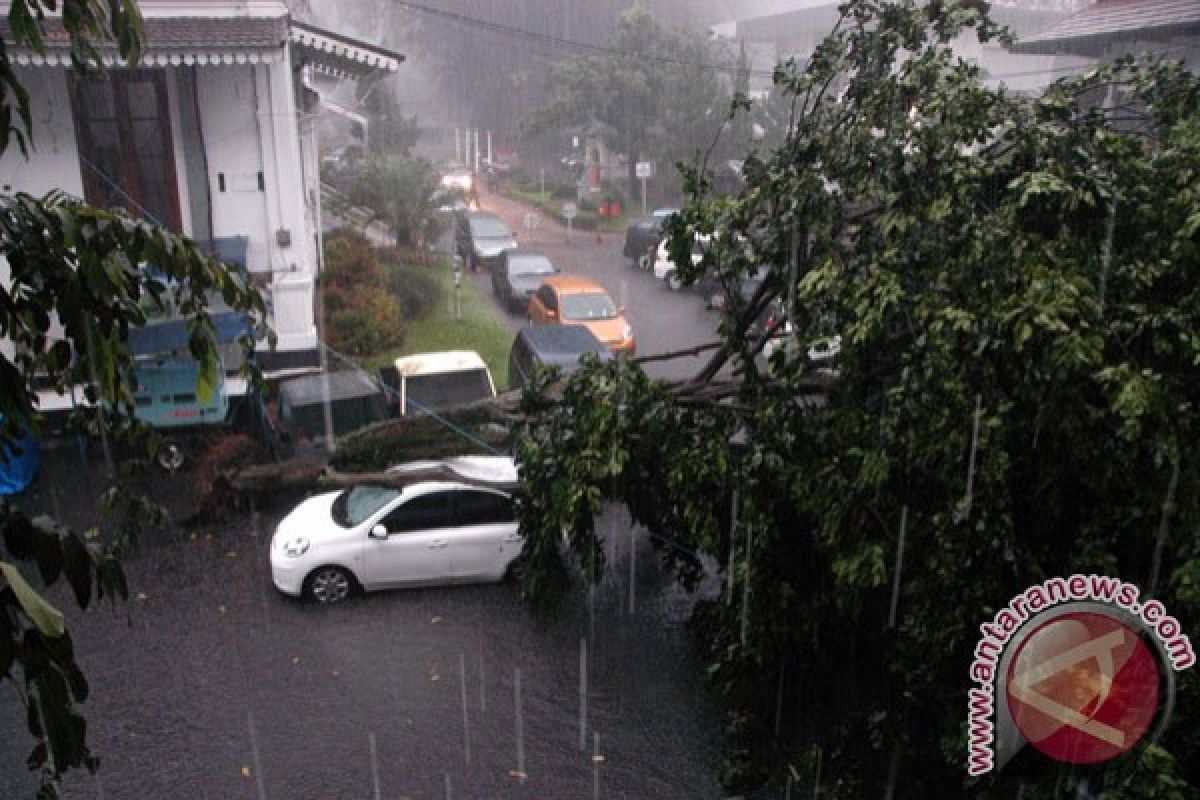 Hujan meliputi Bogor pada awal tahun baru