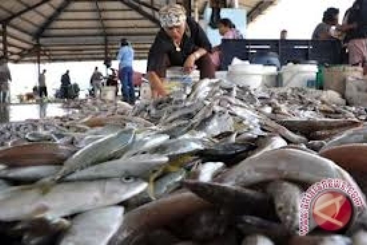 Nelayan Tanjabtim mampu memproduksi ikan 24 ribu ton pertahun