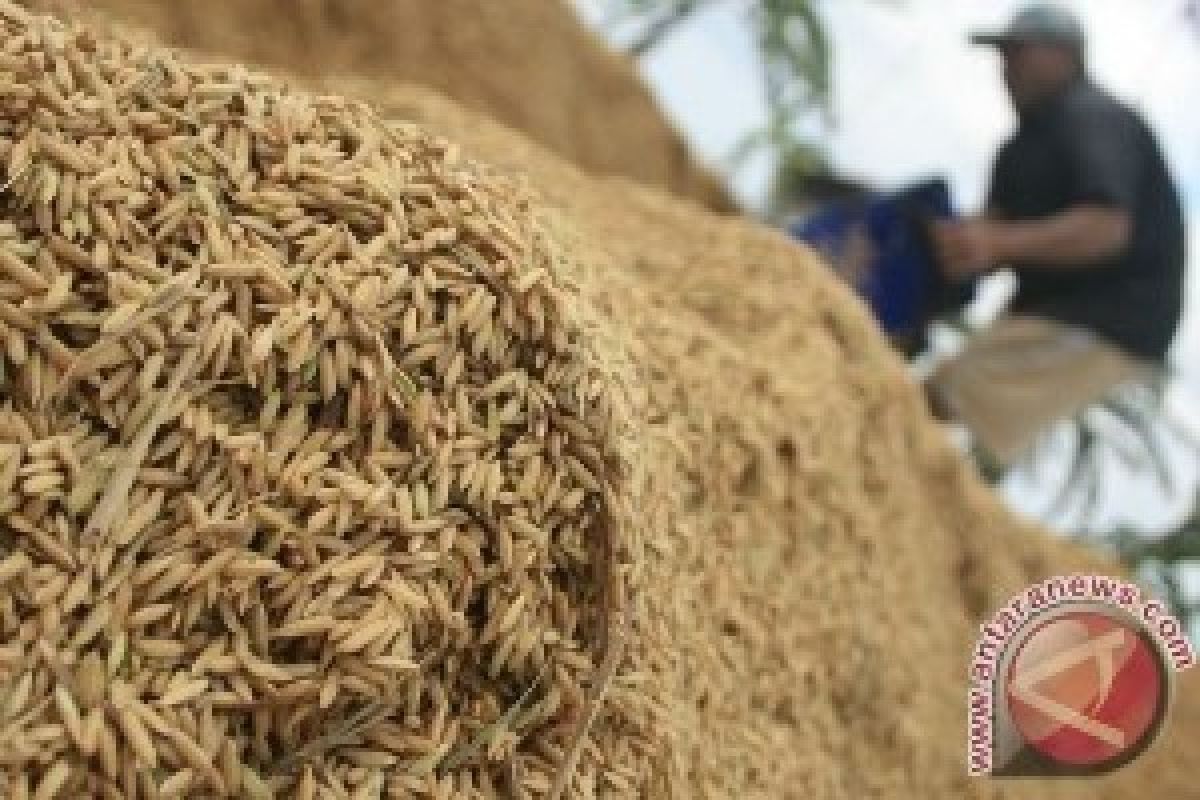 Optimalkan Penyerapan, Bulog Sewa Gudang