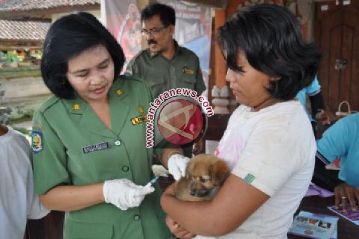 110 Ekor Anjing di Tabanan Divaksinasi