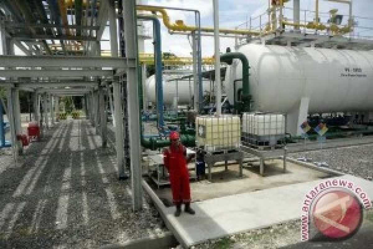 Produksi Rata-rata Minyak Nasional Naik