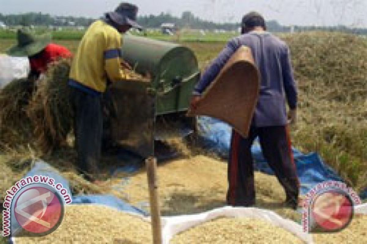 Catatan Akhir Tahun - Tantangan petani lokal hadapi MEA