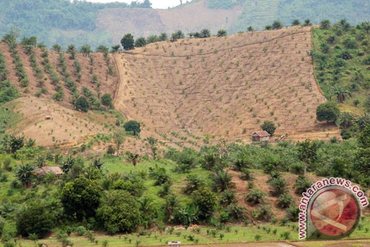 Ruang terbuka hijau di Mamuju berubah fungsi