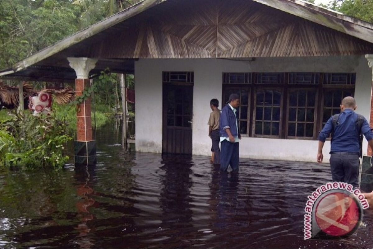 Desa Mega Timur Kalbar Semakin Terendam Banjir 