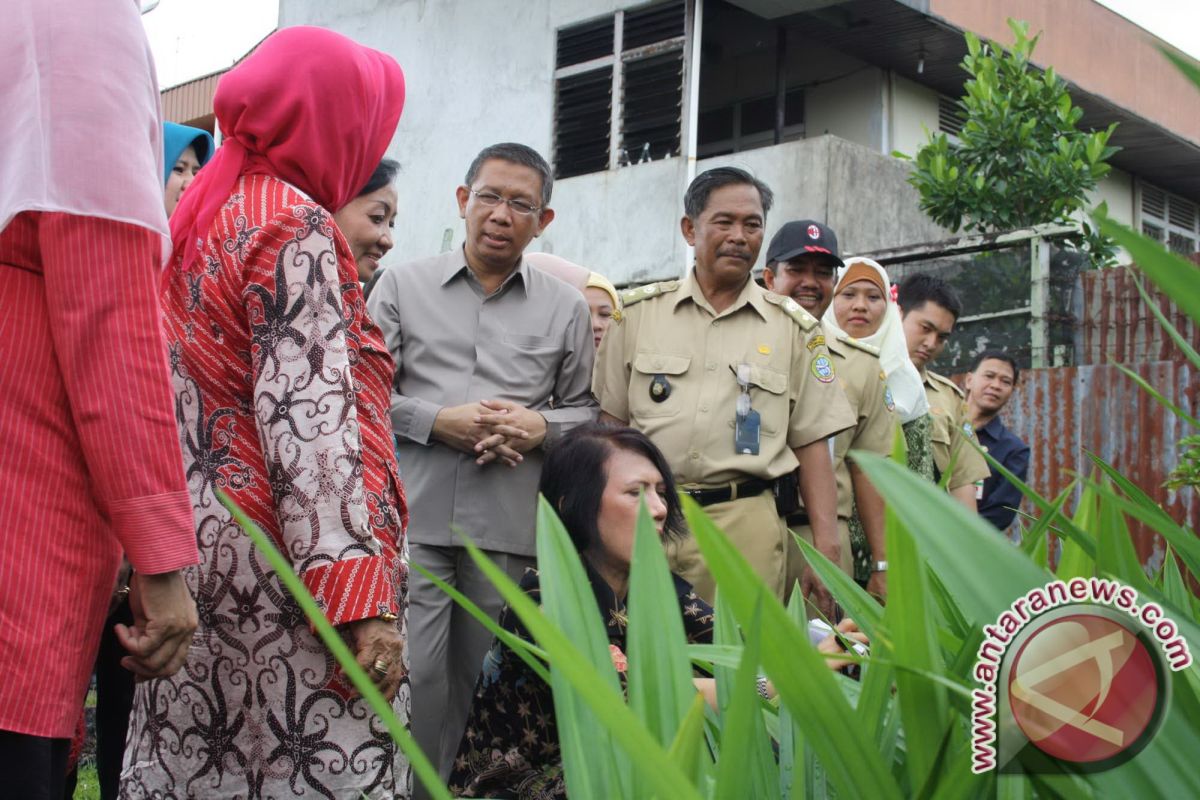 Sutarmidji Ajak Masyarakat Galakkan Tanaman Obat Keluarga 