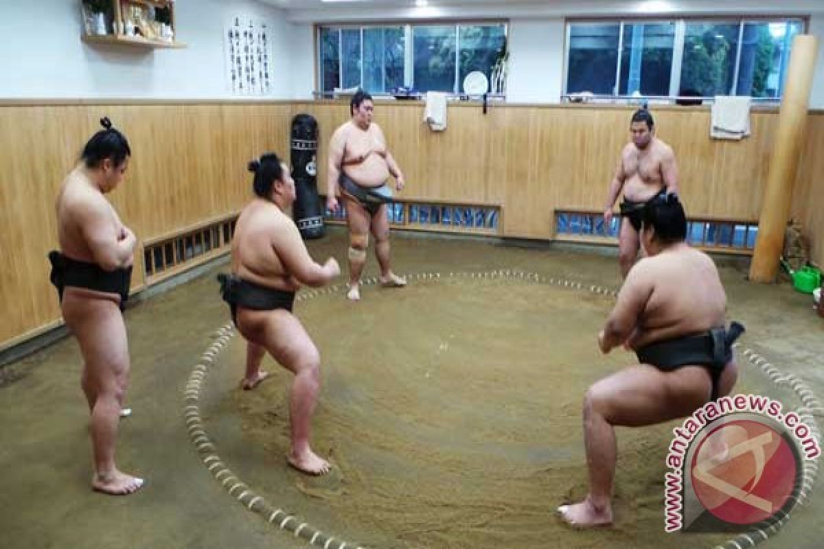 Nonton pertandingan sumo, kesempatan langka