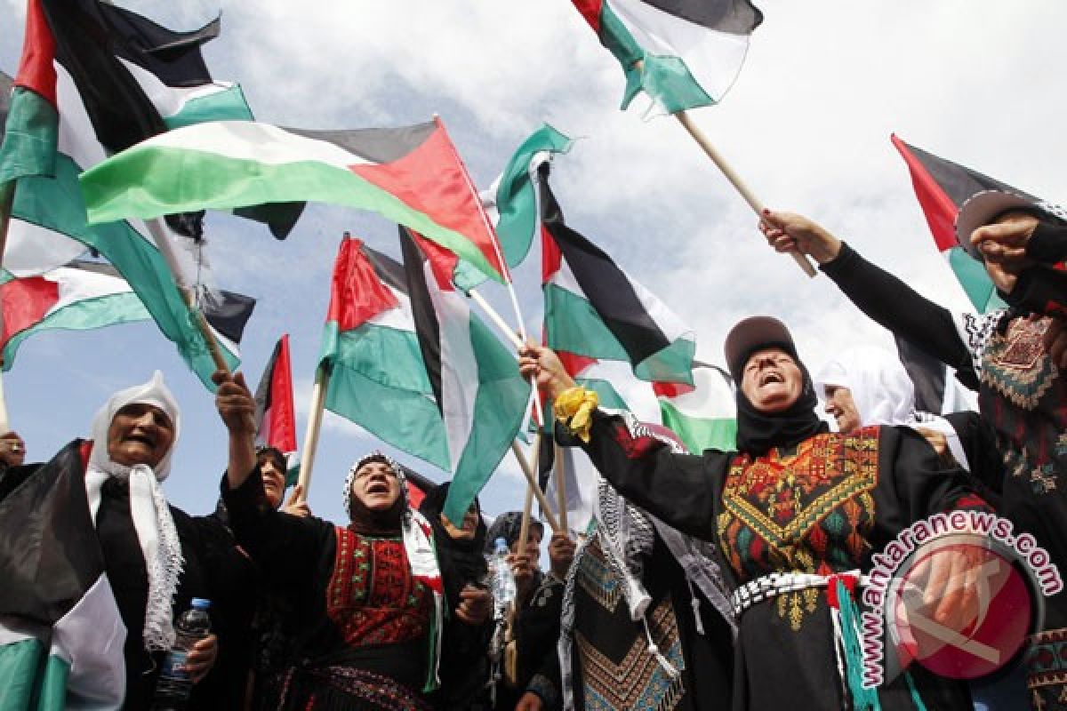 Komite untuk Palestina targetkan galang Rp3 miliar