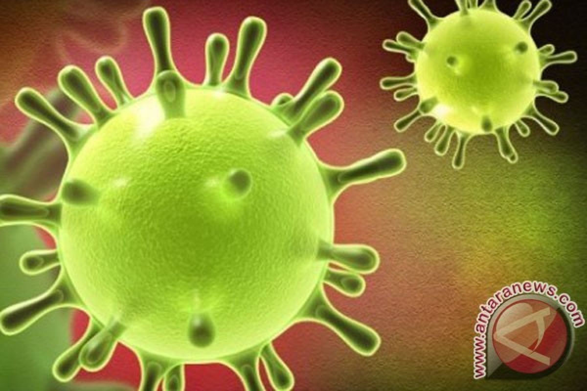 LIPI: Virus Corona ternyata lebih lambat mutasinya dibanding virus influenza