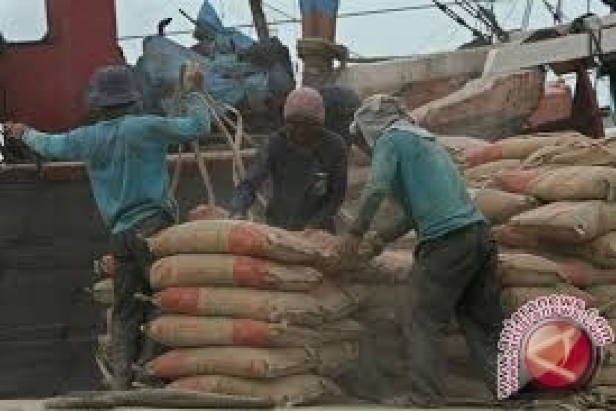 Upaya pemerintah Sulteng atasi krisis semen