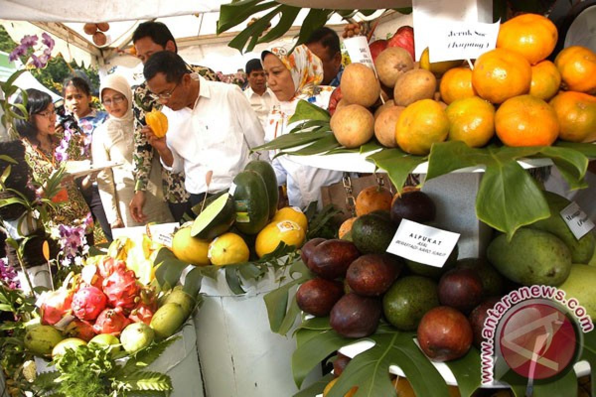 Presiden minta IPB gelar festival buah lebih besar lagi