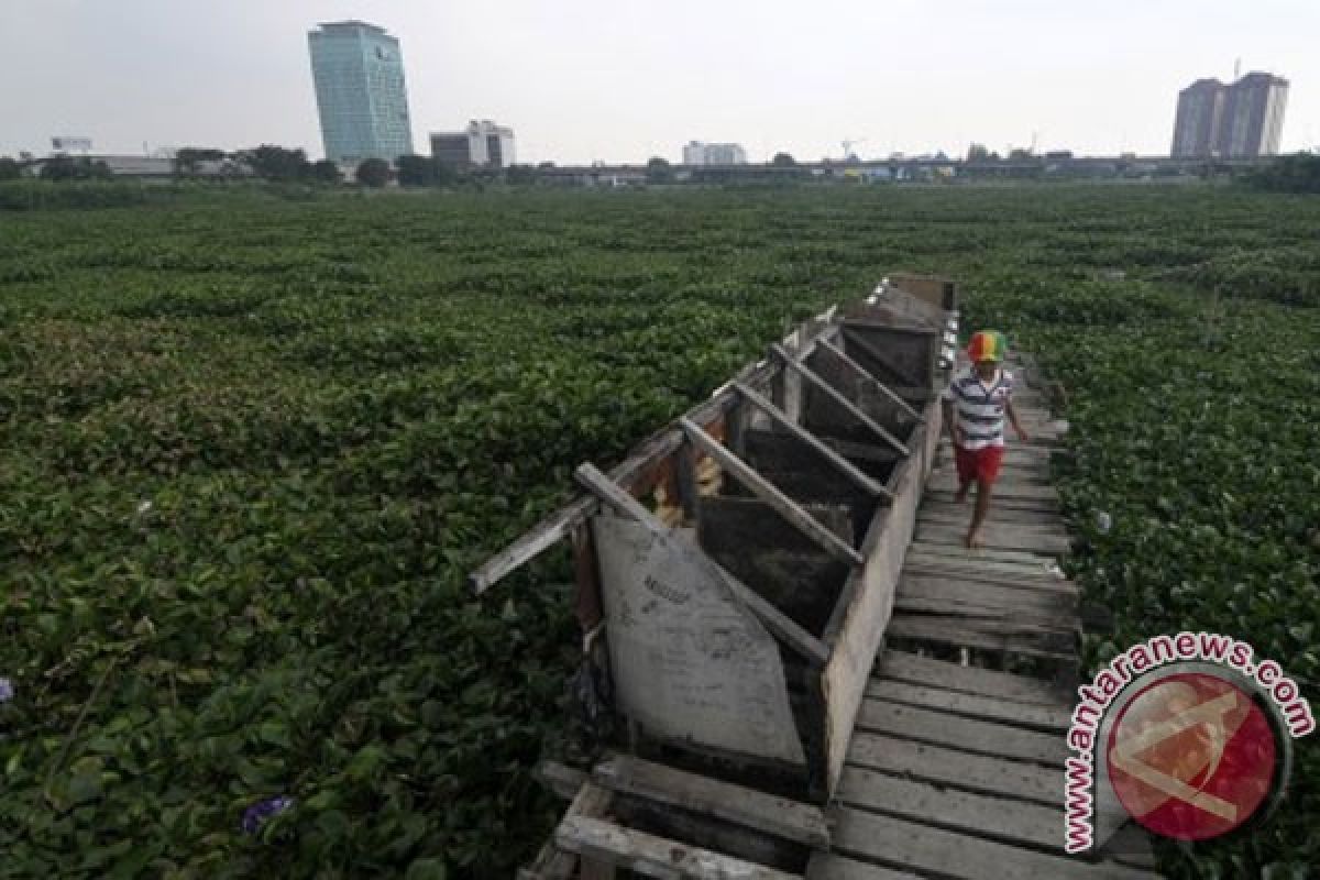 Jokowi tuntaskan taman Ria Rio tahun depan