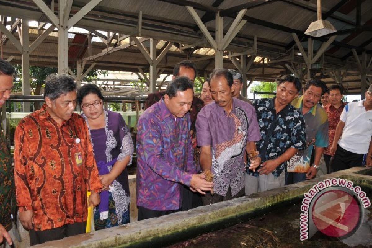 TWA Gunung Batur akan Dioptimalkan