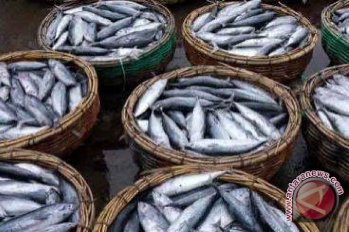 Meningkatkan  Kesehatan Otak dengan Mengkonsumsi Ikan