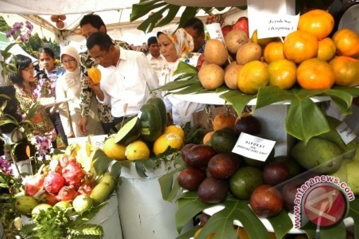 Membakar Lemak dengan Mengkonsumsi Buah