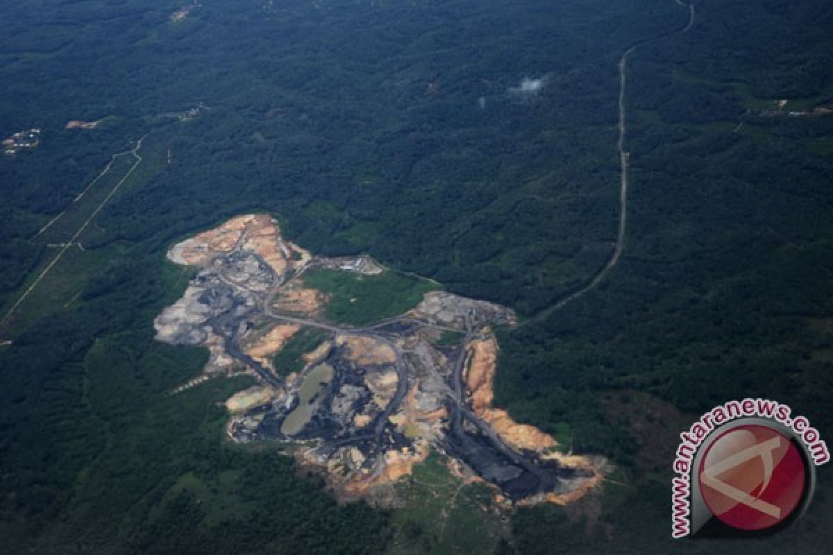 Cadangan batu bara di Jambi 800 juta ton