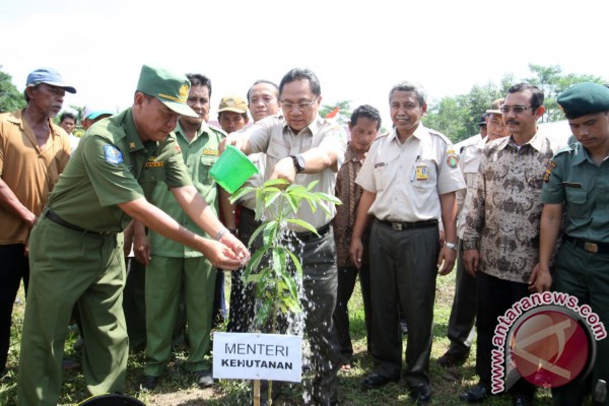Kunjungan Kerja Menteri Kehutanan Zulkifli Hasan di Area Hutan Tanaman Produksi, Ogan Komering Ilir, Senin 20 Mei 2013