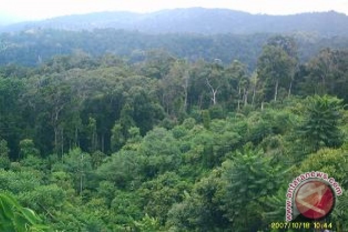 Bekas Terminal Bus Sukabumi Dijadikan Hutan Kota