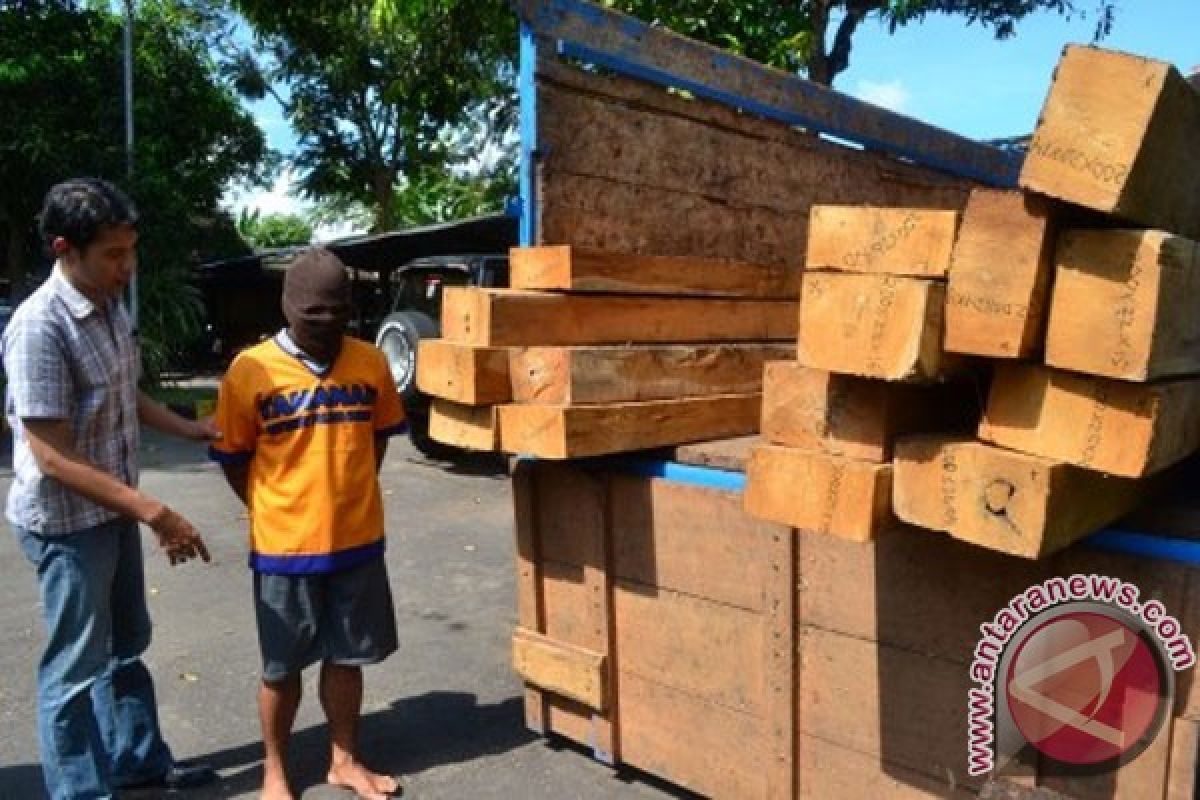 Polda tangkap sembilan meter kubik kayu ilegal