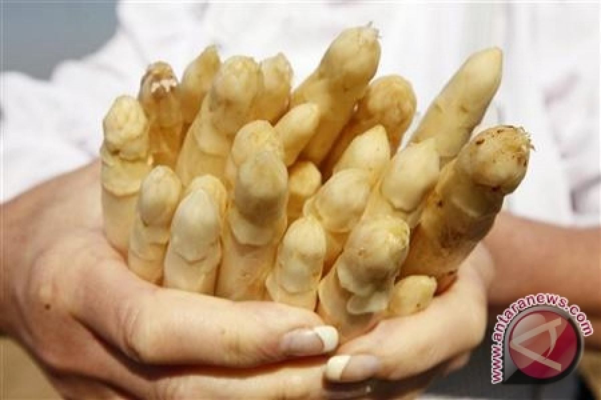 Ternyata mengonsumsi asparagus secara teratur bagus untuk kendalikan diabetes