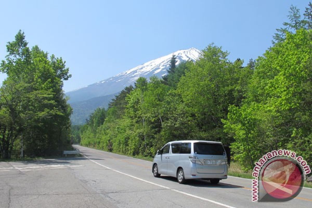 Destinasi wisata Golden Route Jepang masih jadi favorit turis Indonesia