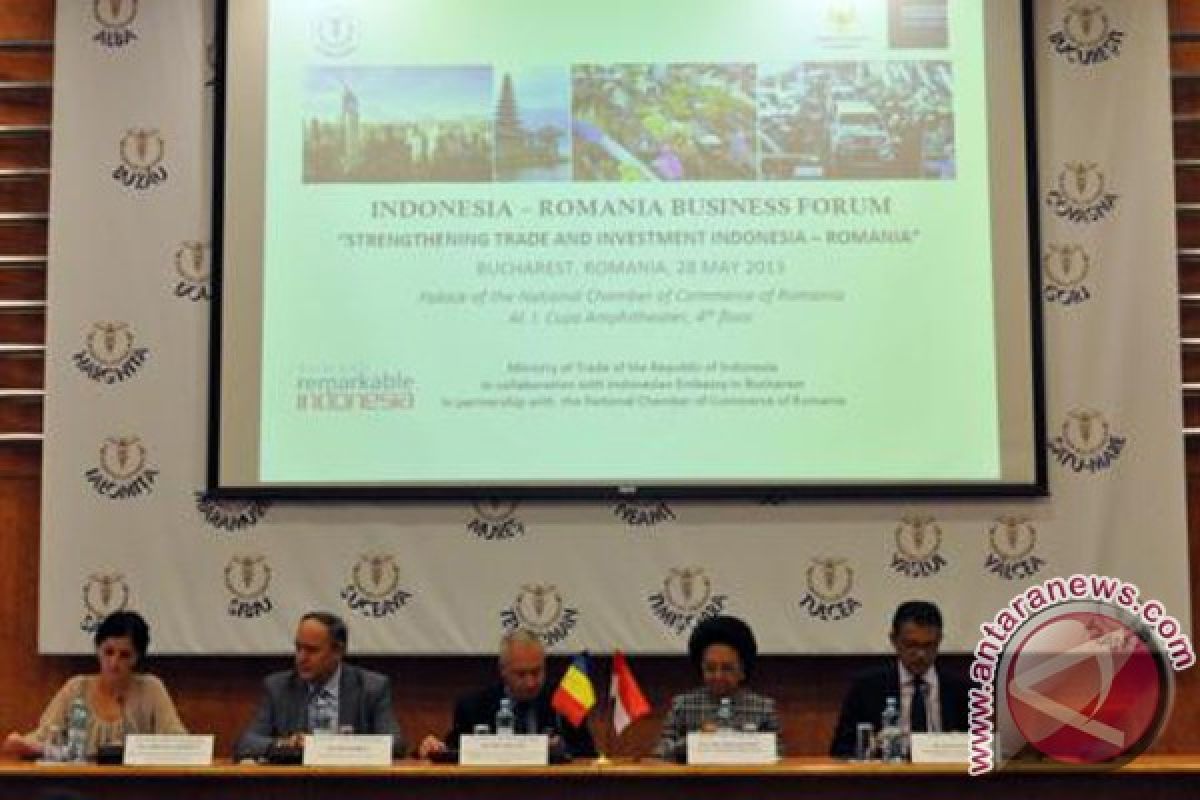 Indonesia tawarkan Rumania kerja sama pengembangan spa