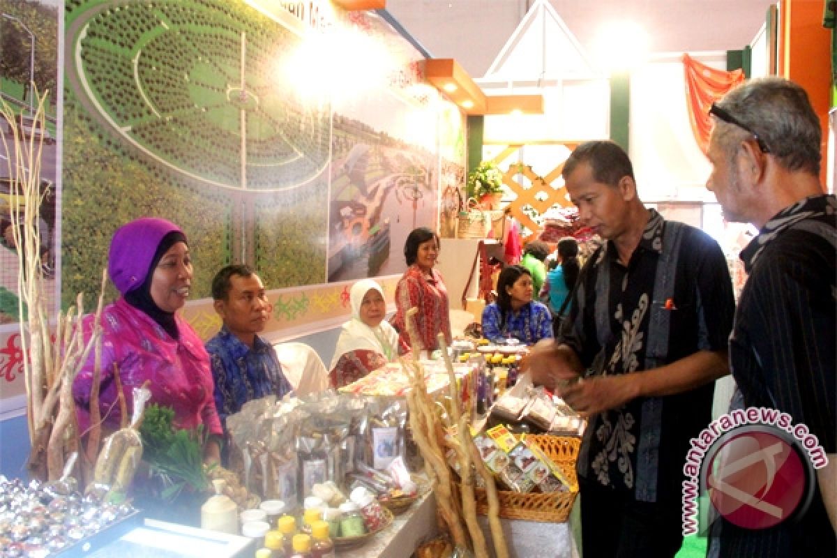 Persiapan Seruyan Expo 2015 Capai 70 Persen